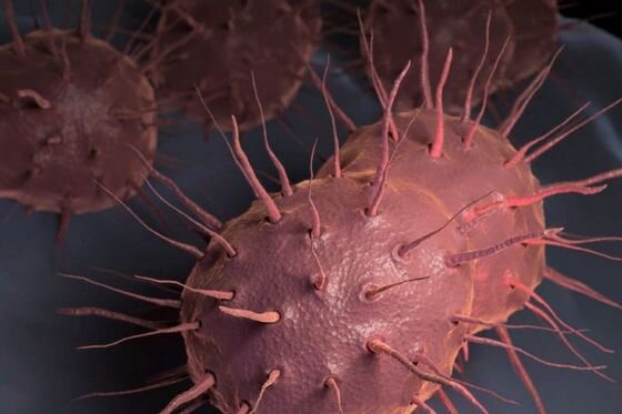    Шведский ученый предупредил о начале мировой эпидемии