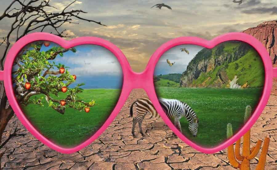 Волшебная картина мира через розовые очки