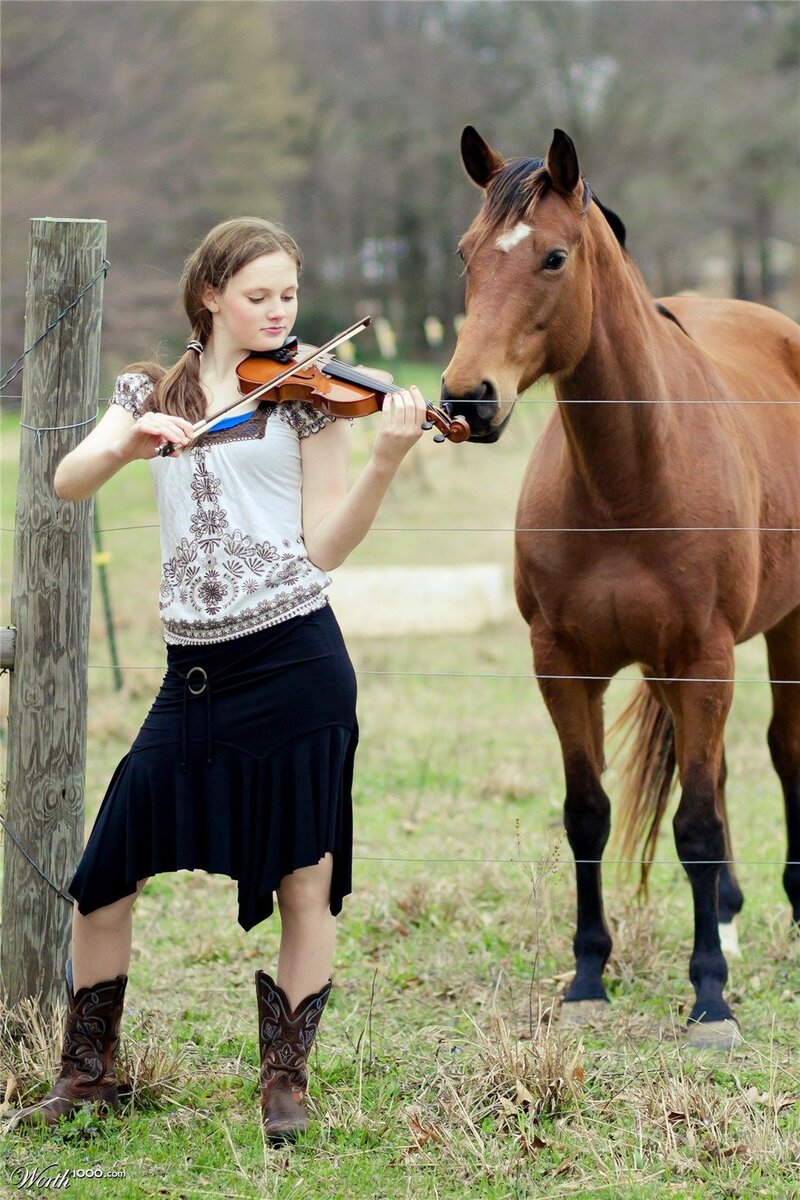 Влияет ли музыка на лошадь? | Psyhorse | Дзен