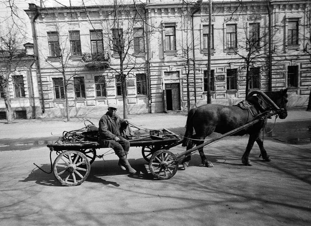 Снимок Рустама Мухаметзянова, источник: russiainphoto.ru