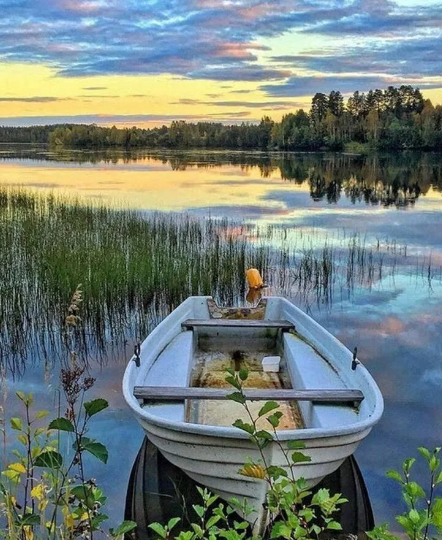 Яндекс.Картинки