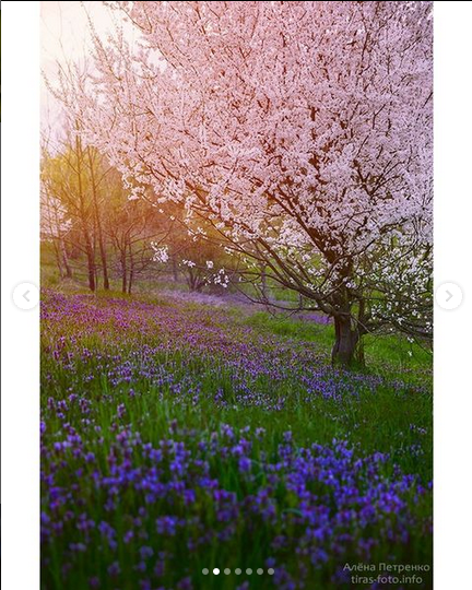 По дороге на дачу