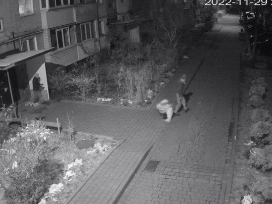   Кадр из видео