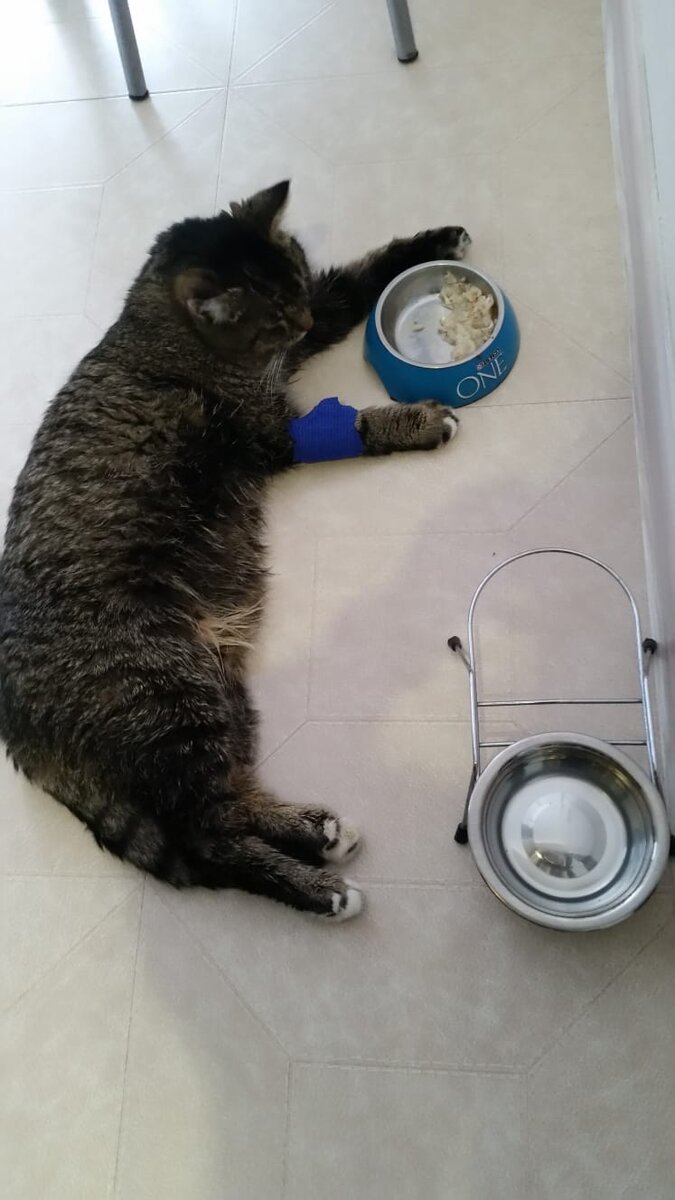 Тима после капельницы