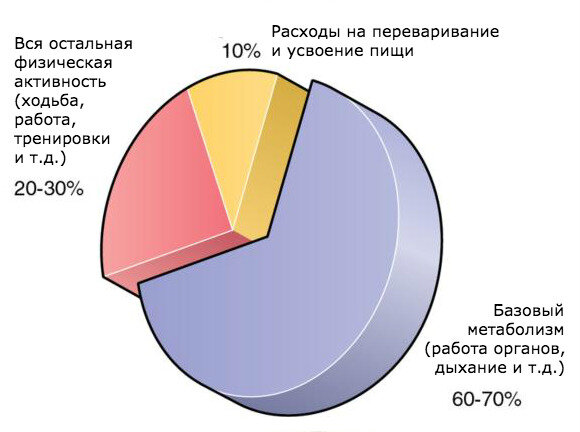 Ответы 51-мебель.рф: Сколько каллорий сжигает 1 оргазм?