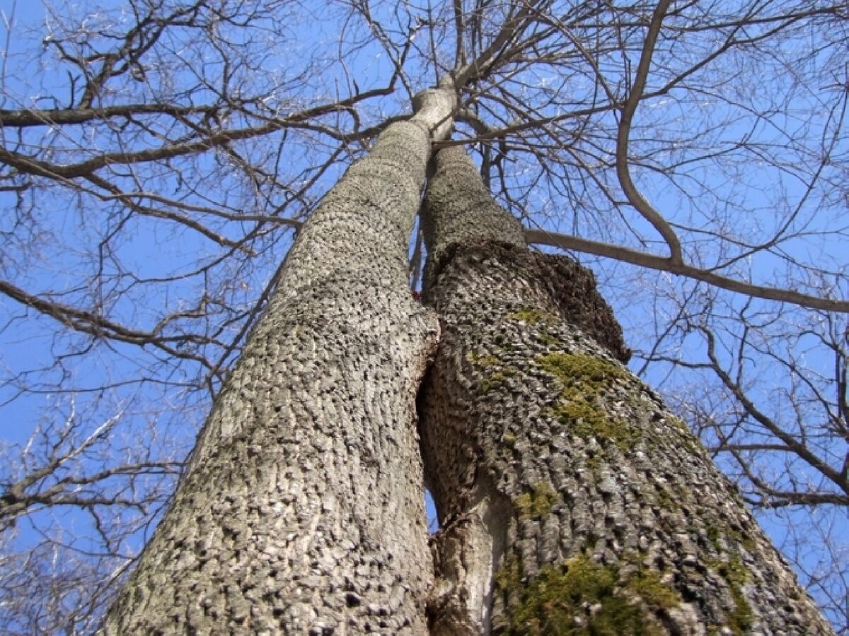   Фото: istockphoto.com