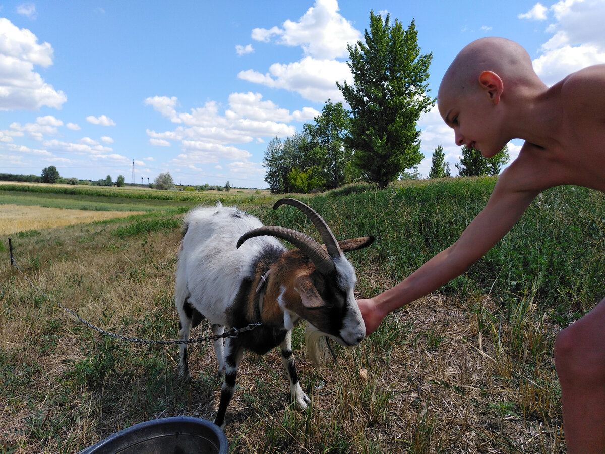 Доброе слово и козе приятно