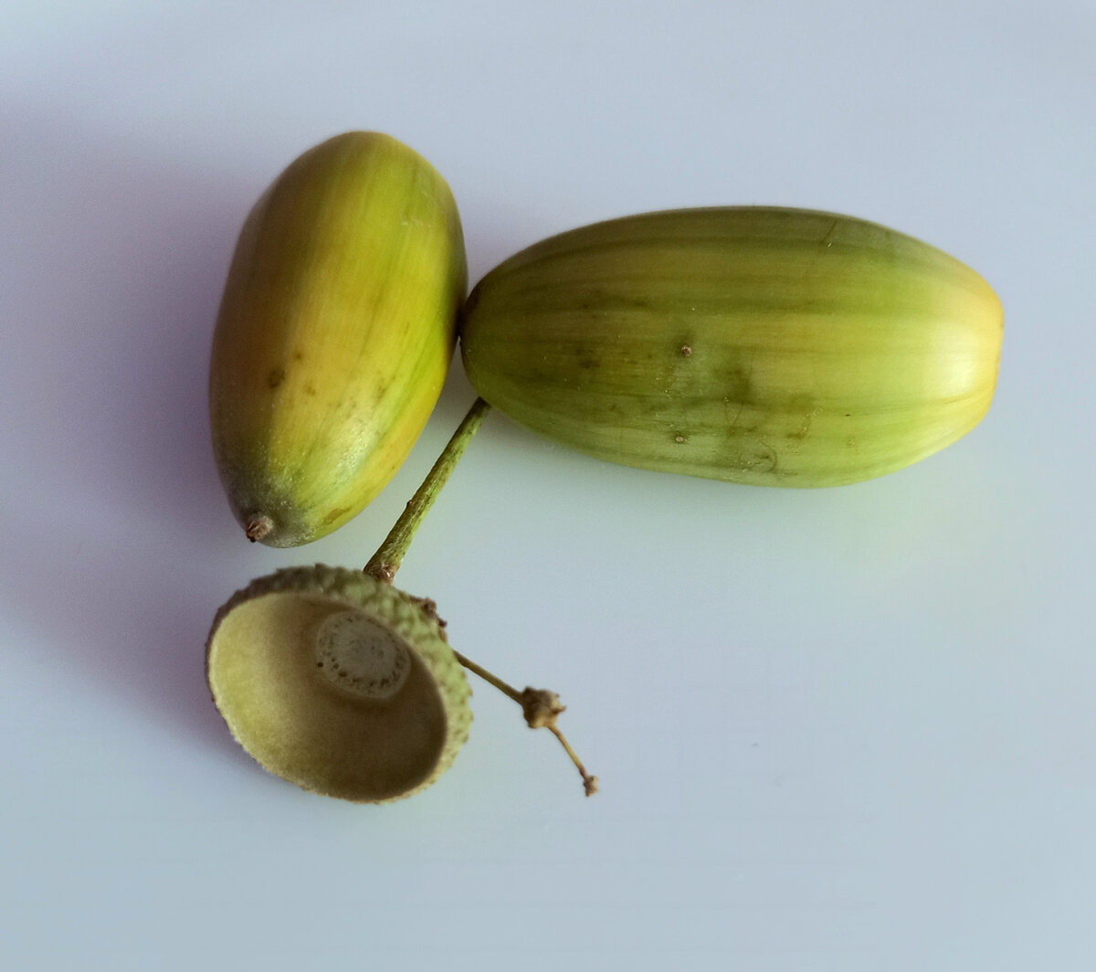 Авторское фото