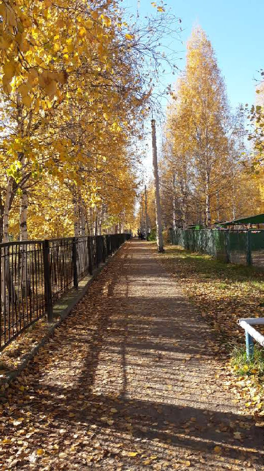 Дорога по которой мы в старый садик ходили.
