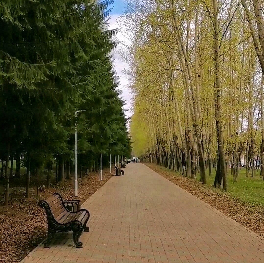 пословица мудрость народа. расставьте знаки препинания обращение. интересные слова для общения. мудрое слово предложение. умные слова список.