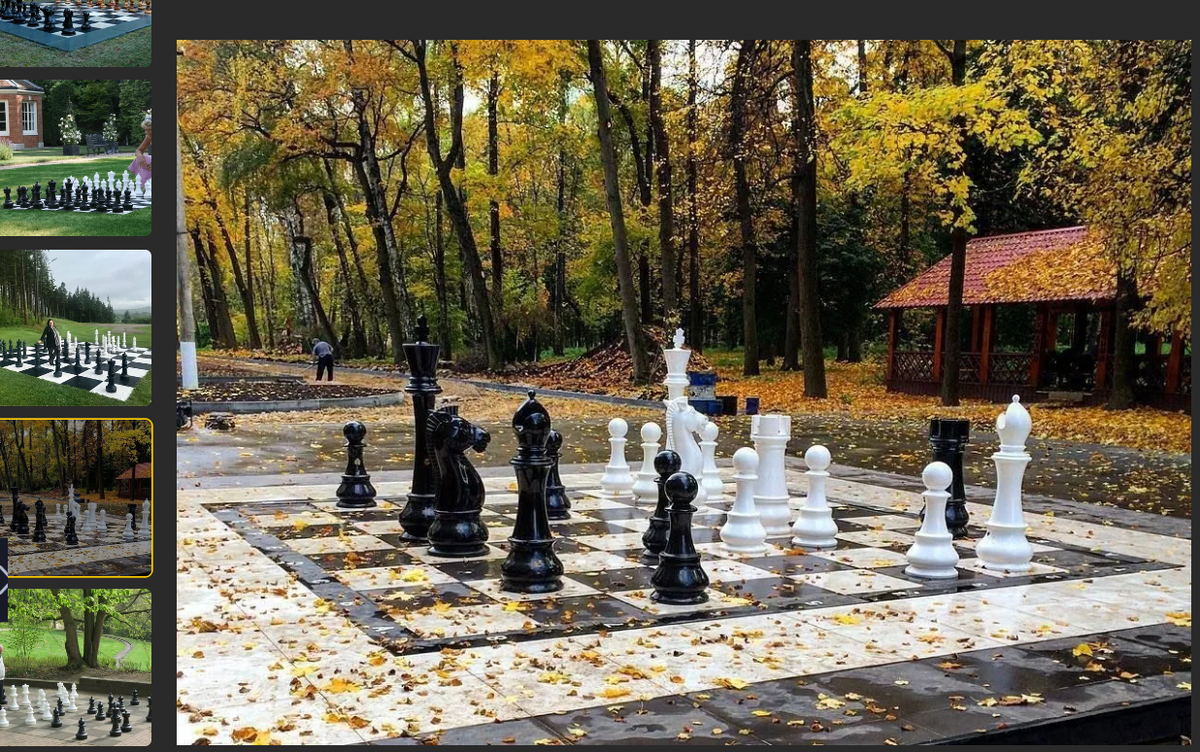 шахматы в лесу