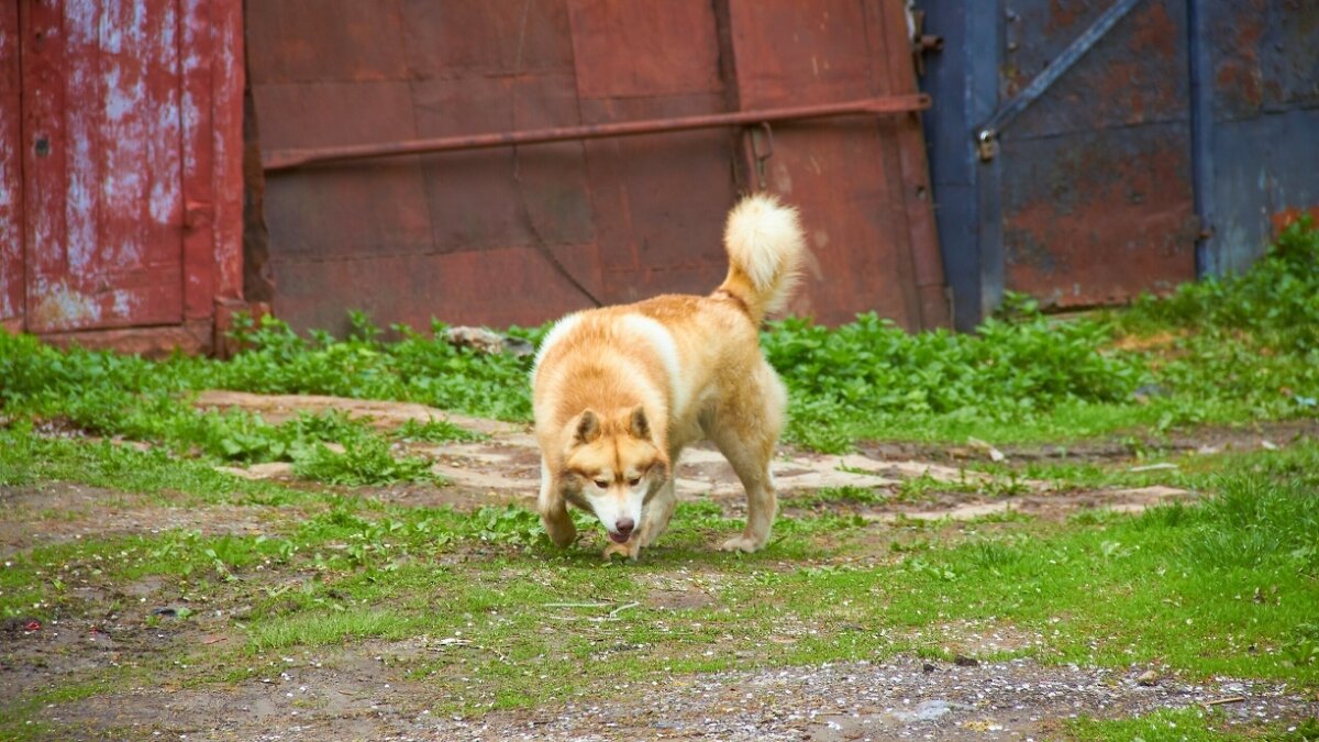 ИА SM-News Тюмень📷
