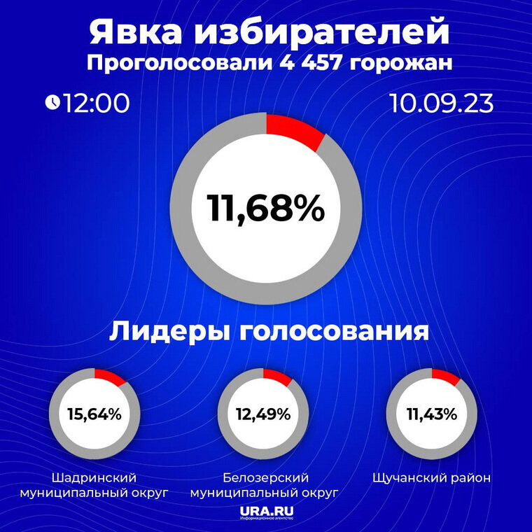    Явка на выборах в Курганской области на 12 часов дня 10 сентября