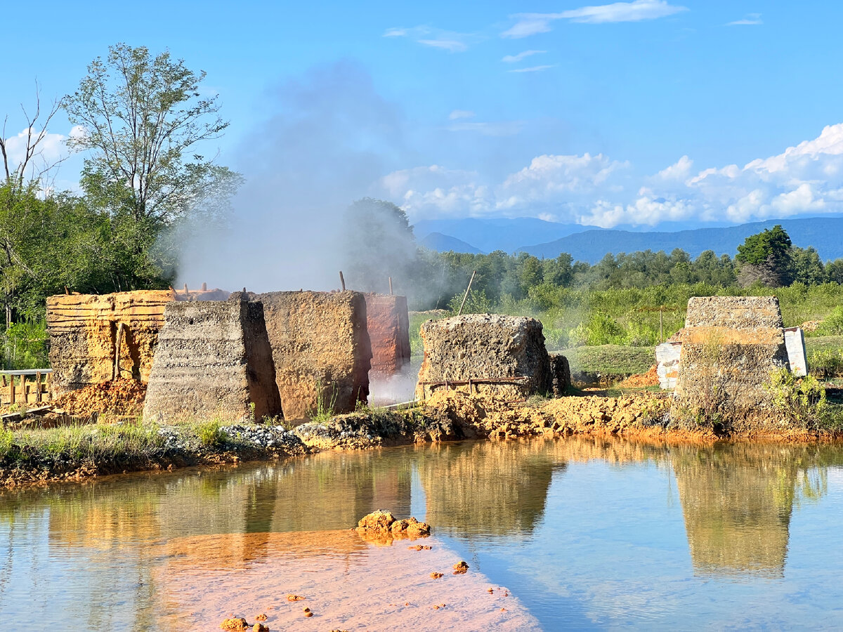 Эвкалиптовые пляжи в Абхазии: где жить, чтобы 1 минуту к морю ходить и ...
