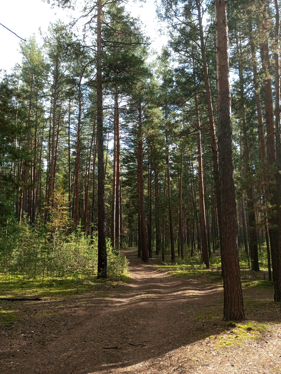 тишинаааа!!!!!!!!!!!)))))))))