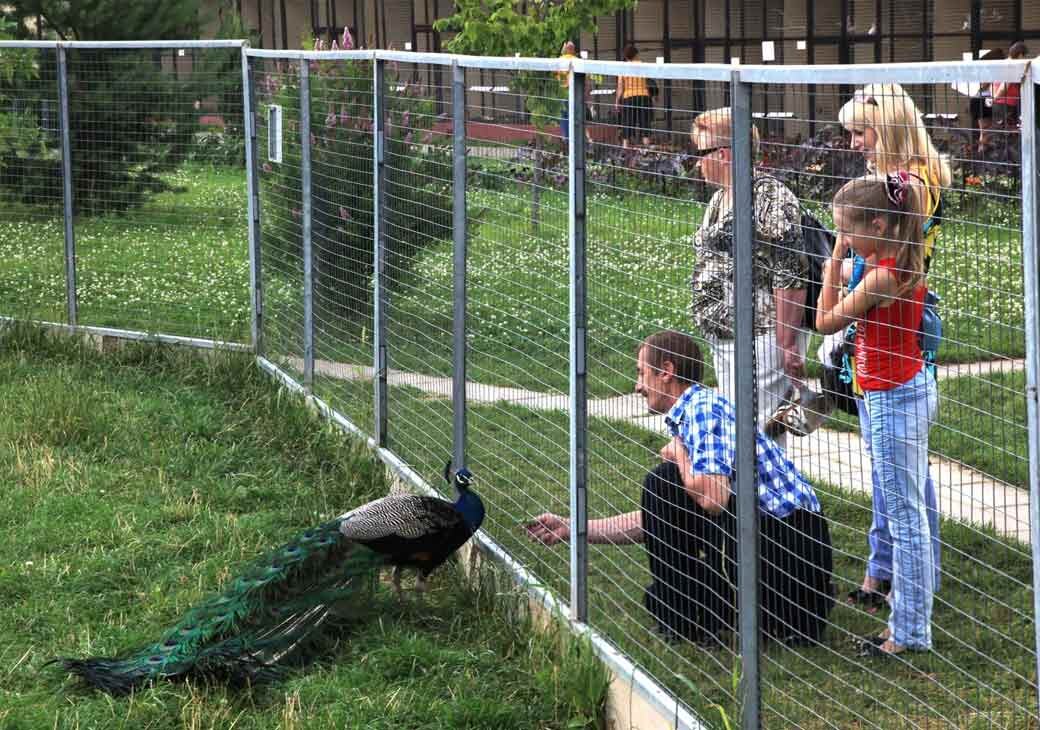 
Фото: РИА Новости