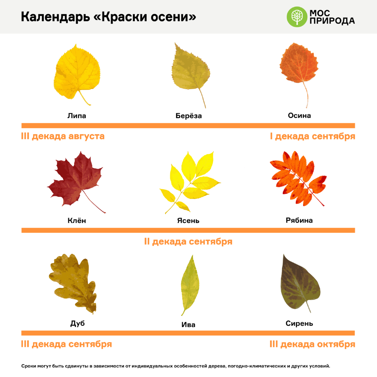 Мосприрода разработала календарь «Краски осени» 🍂🍁🍂 | Природа Москвы |  Дзен