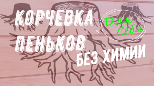 Как выкорчевать пень или дерево своими руками