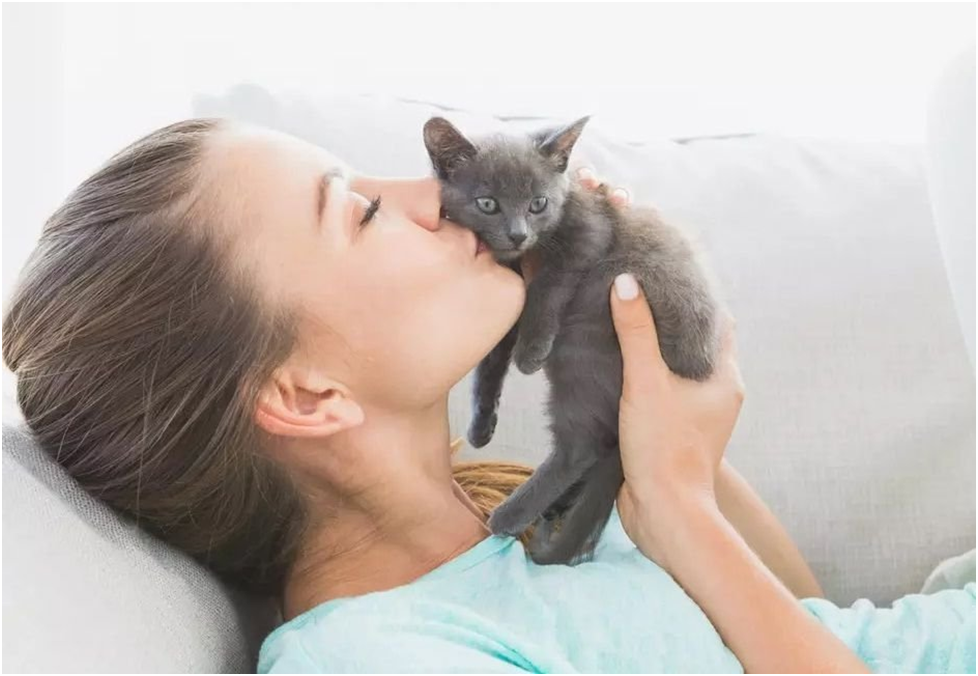 Понимает ли кошка когда ее целует хозяин Мур Мяу Дзен0j