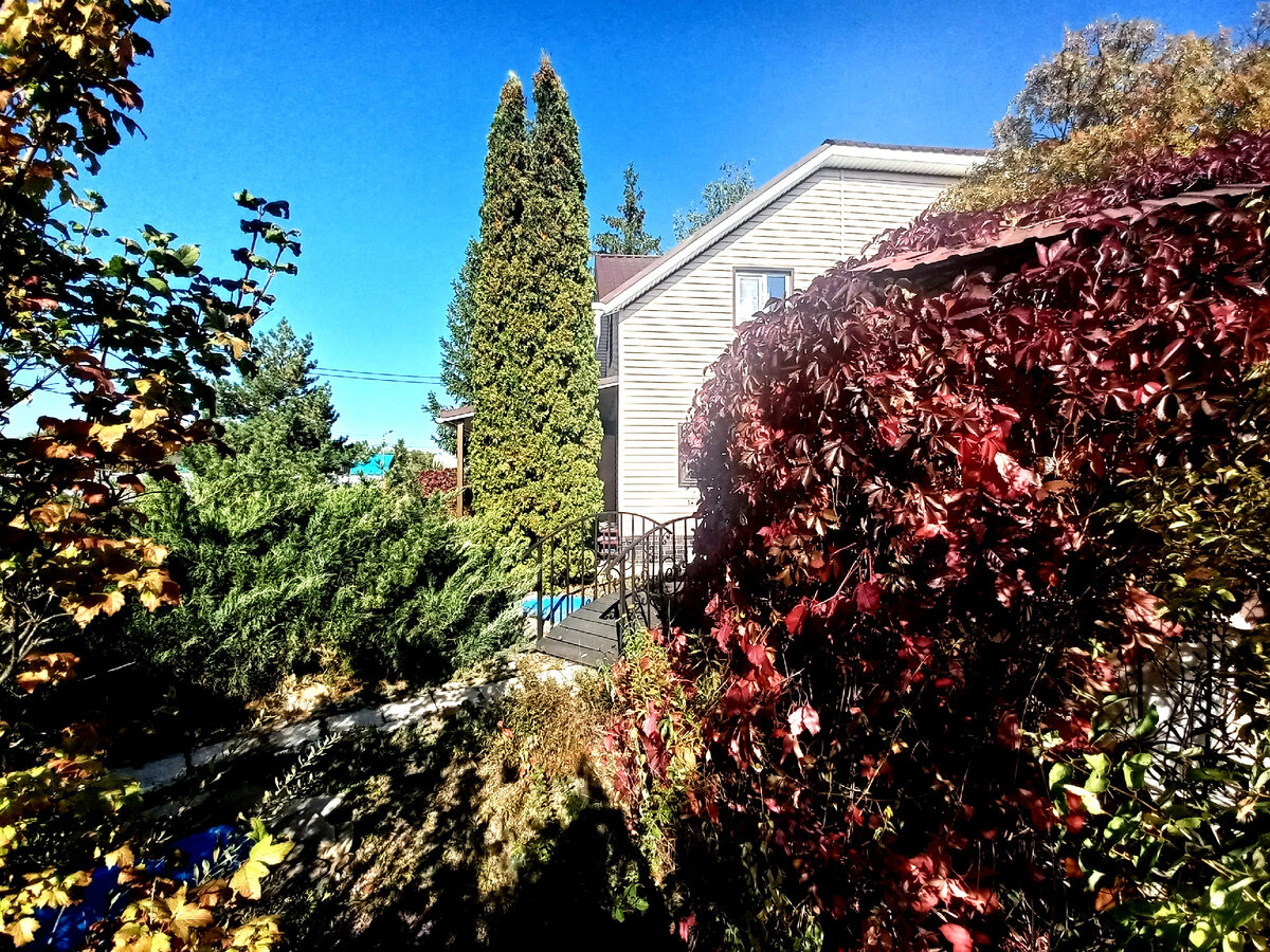 Погода в эти выходные удалась на славу.