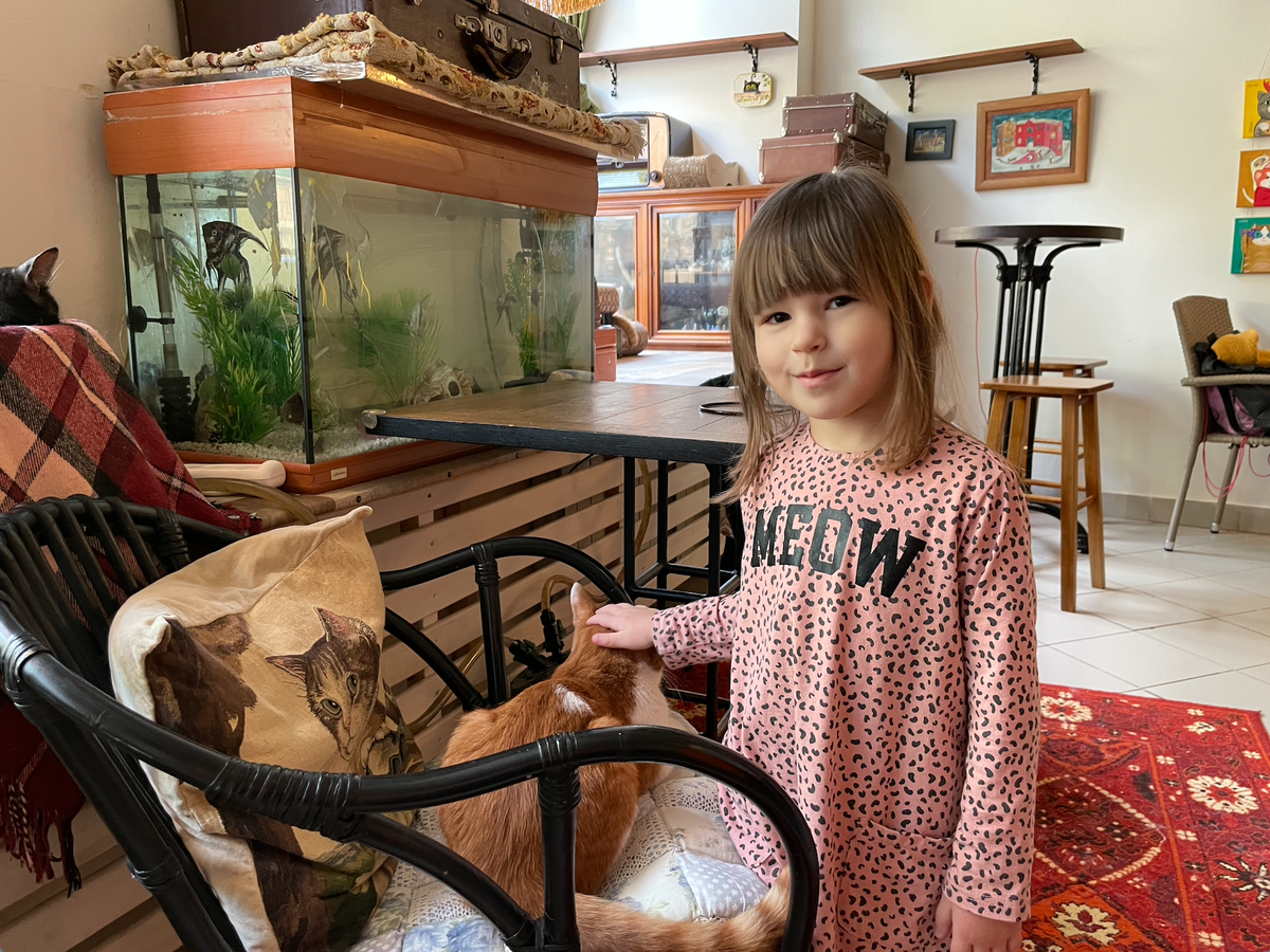 Поэтому утоляли любовь дочери разве что поездками в котокафе (тут Арье почти 4 года) и присмотром за соседскими кошками.