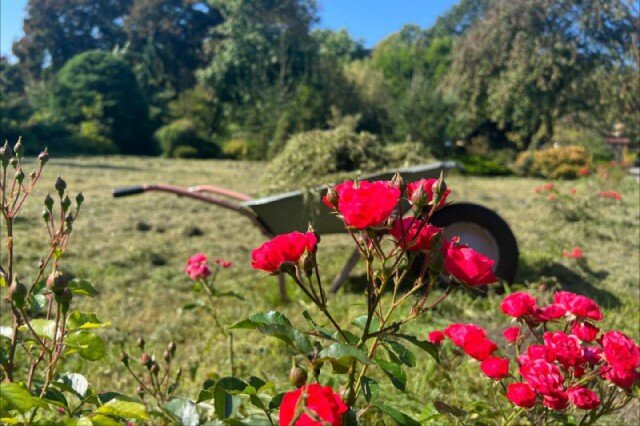   Фото из архива Калининград.Ru