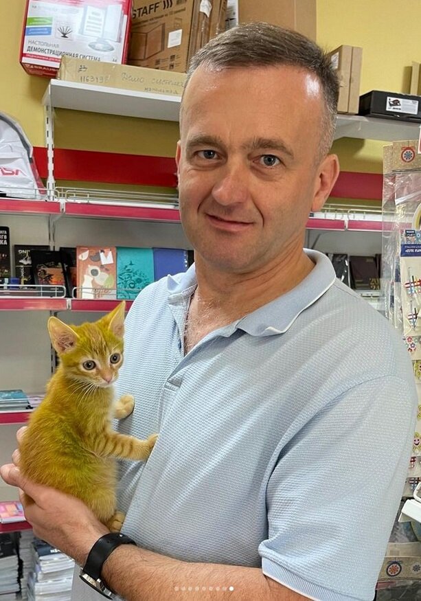 «Никто его не красил!» — Белорусам предложили 50 рублей за имя для «сенсационного» зелёного котёнка из Гродно — Фото