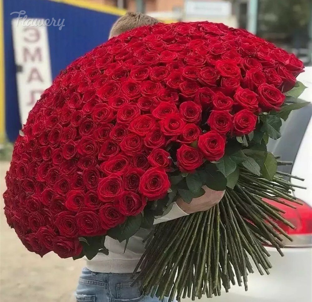 Яндекс картинки.