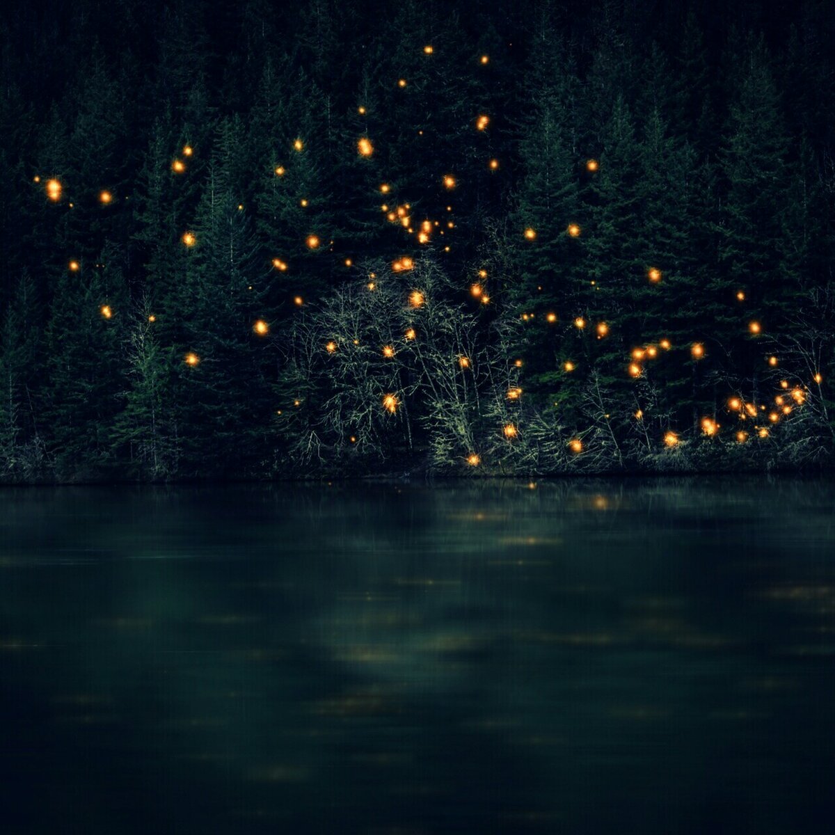 Иллюстрация из открытых источников.