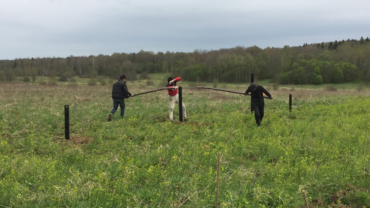 Тру узбека и приходилось еще нам впрягаться, помогать им, так как они что-то быстро выдохлись и хотели обрезать сваи, но я им не дал этого сделать, так как сваи ниже уровня промерзания нужно заложить >>   