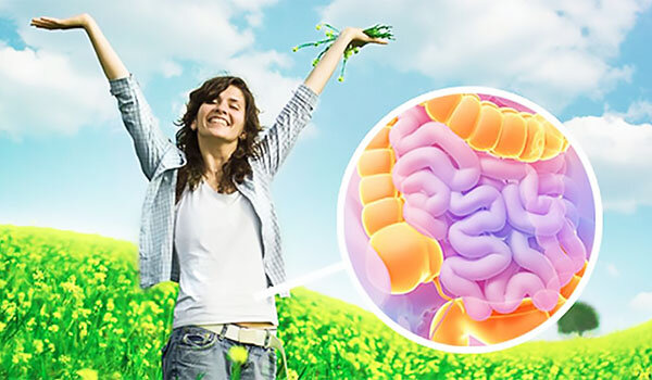 Взято из открытого источника в Яндексе