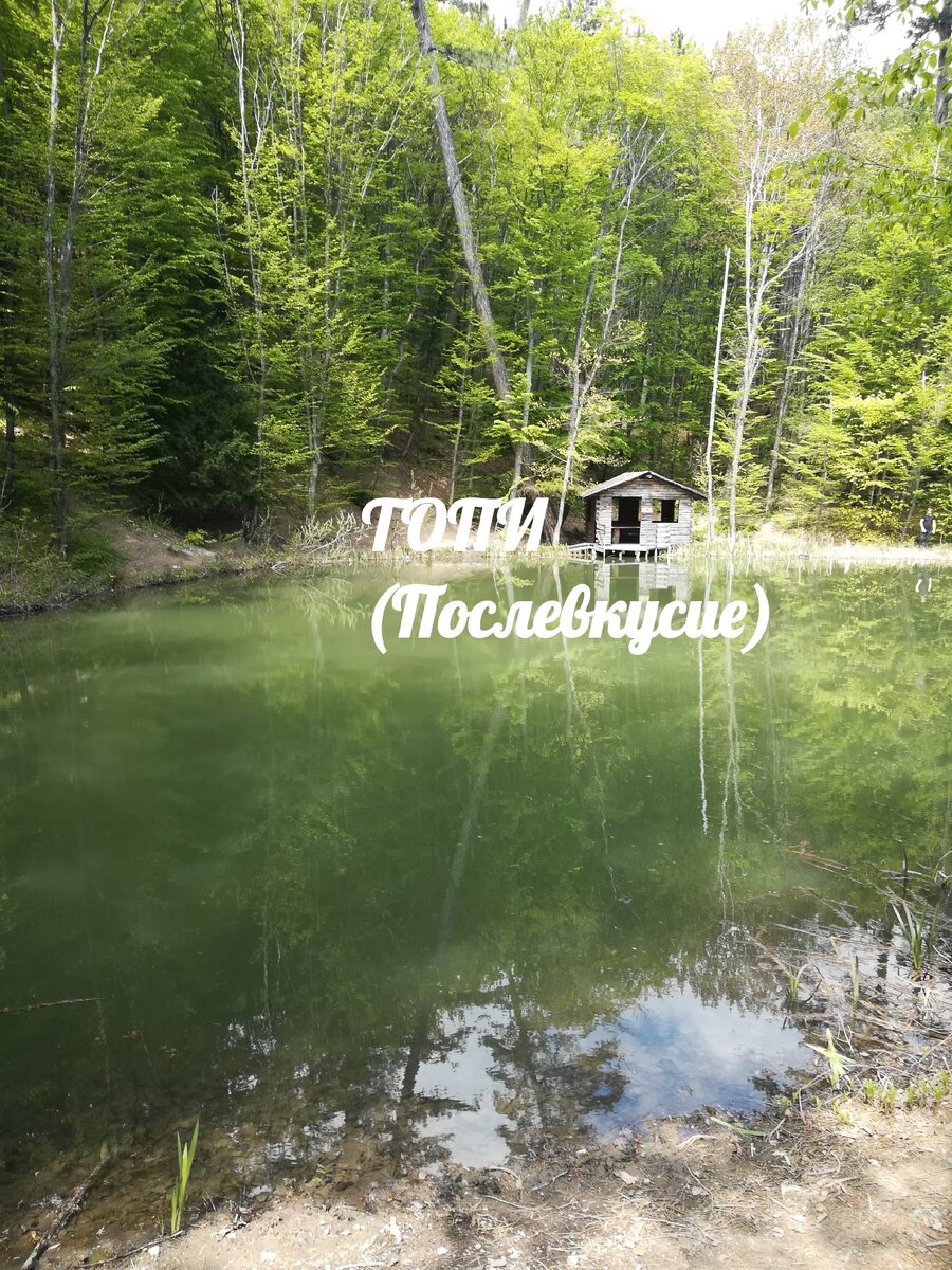 "Топи" (Послевкусие) 