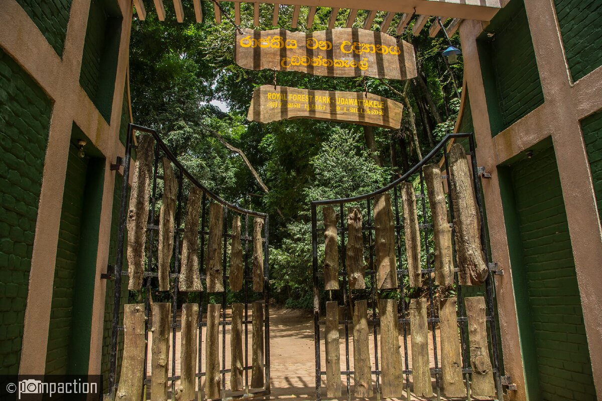 Вход в лес, касса находится слева