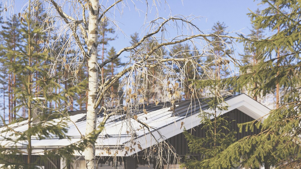 Лес при помощи Corona Scatter