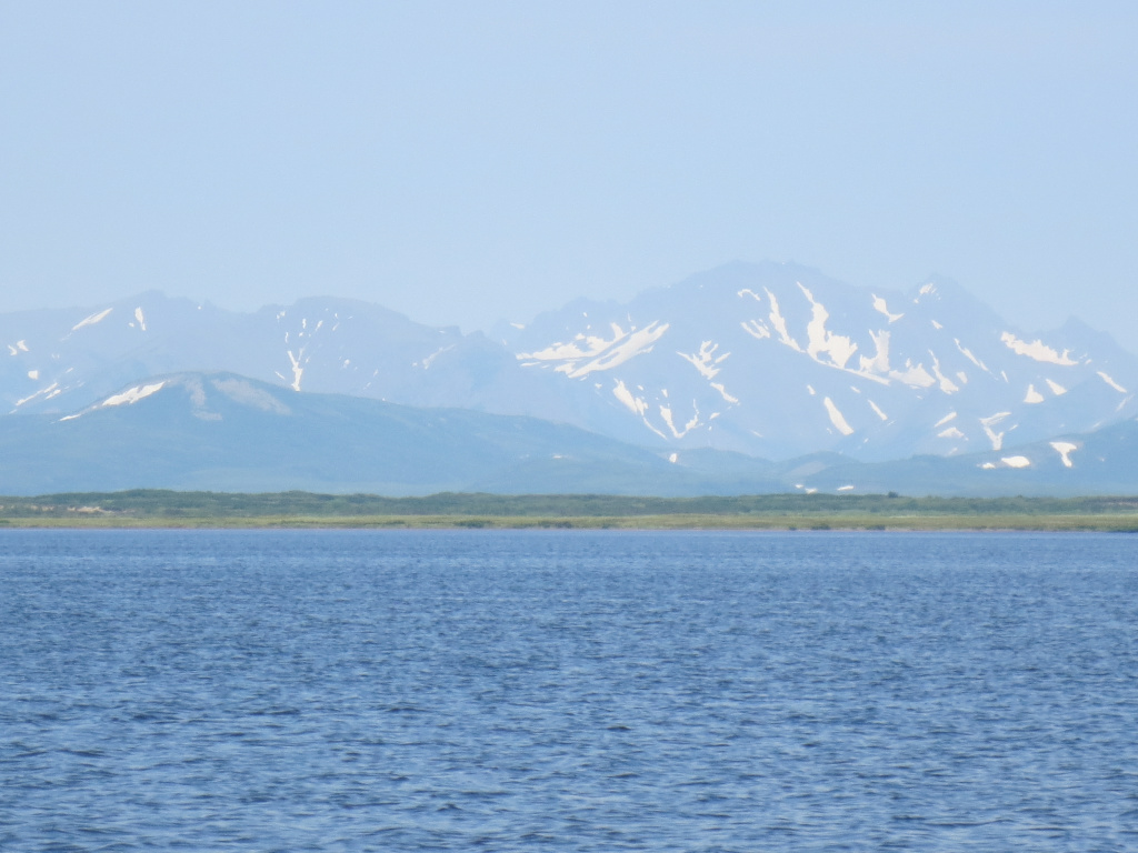 Яндекс. Картинки