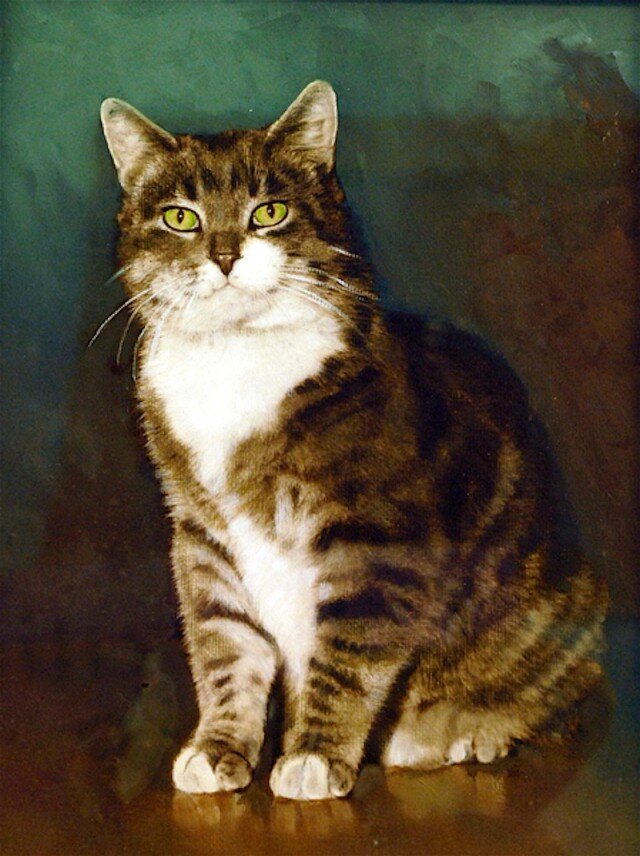 Кот по имени класс Восемь годы жизни: 1947-1968 Источник Яндекс Картинки