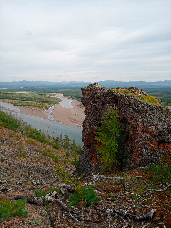 А это уже сверху вниз :)