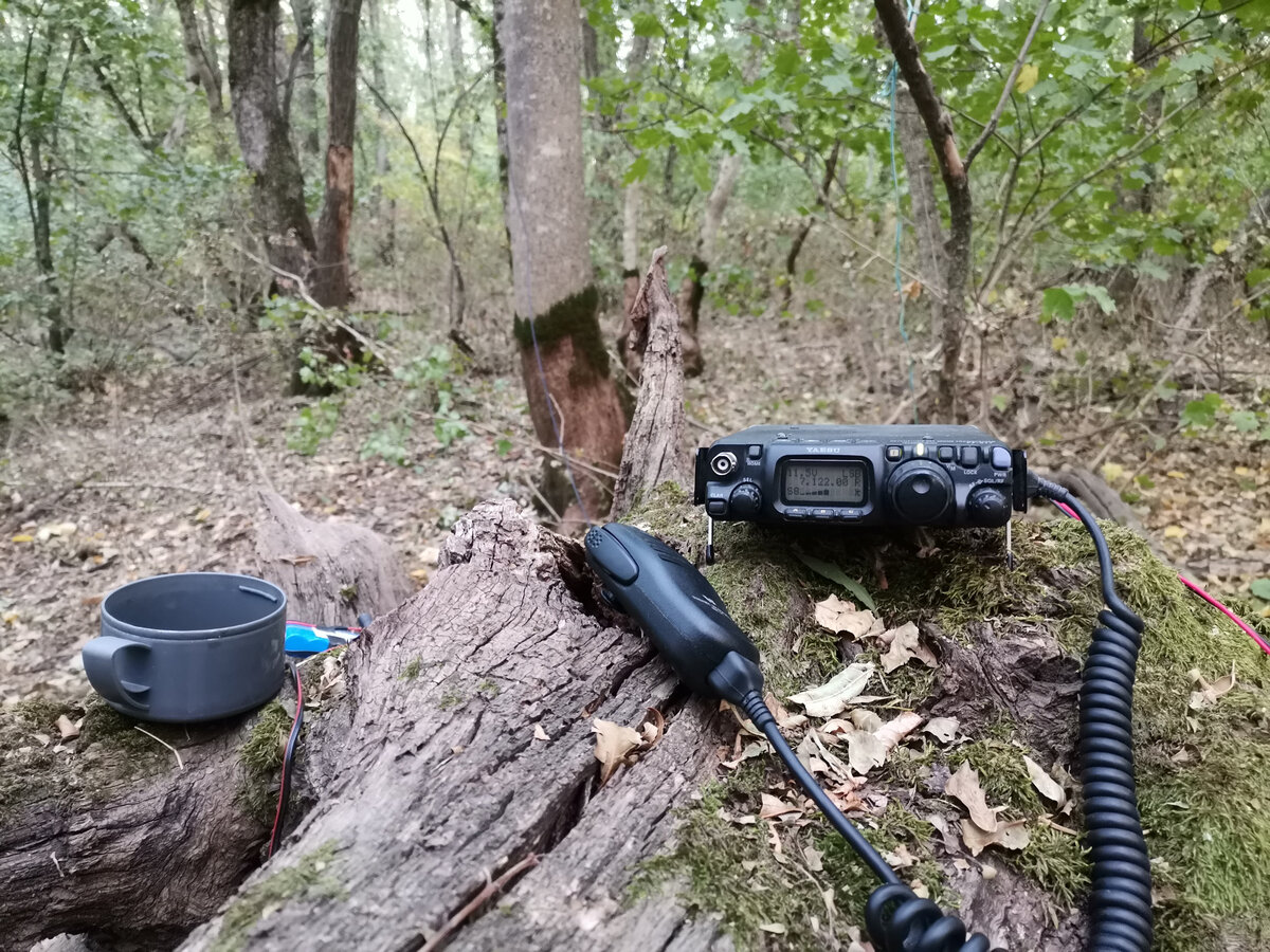 Радиовылазка в Таманский лес с Yaesu FT-817