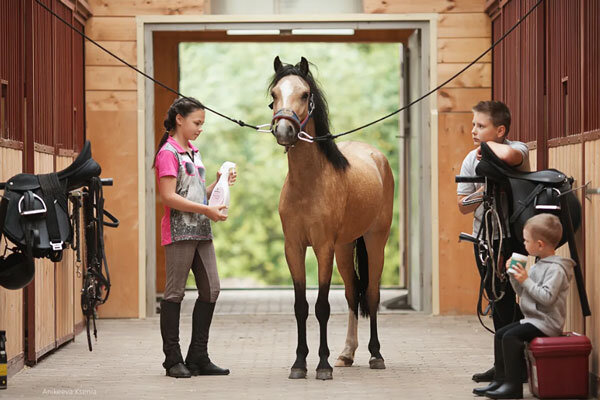 Источник фото сервис Яндекс.Картинки