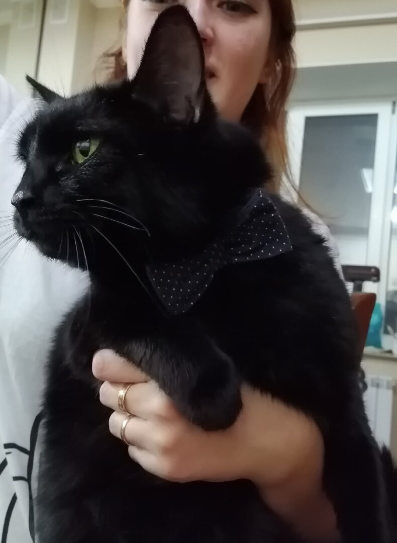 Наш Василий