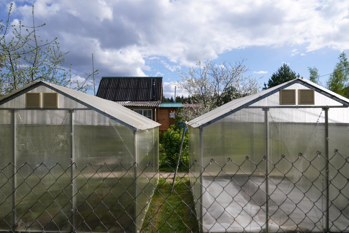 Фото: портал мэра и правительства Москвы/Евгений Самарин