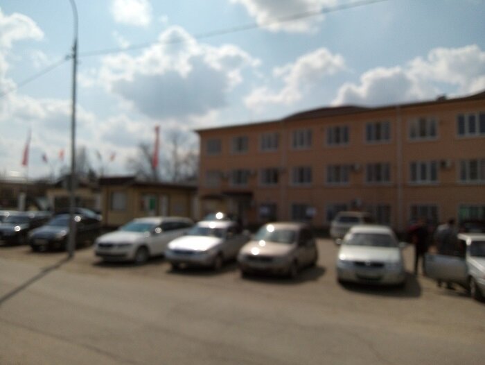 Фото автора.