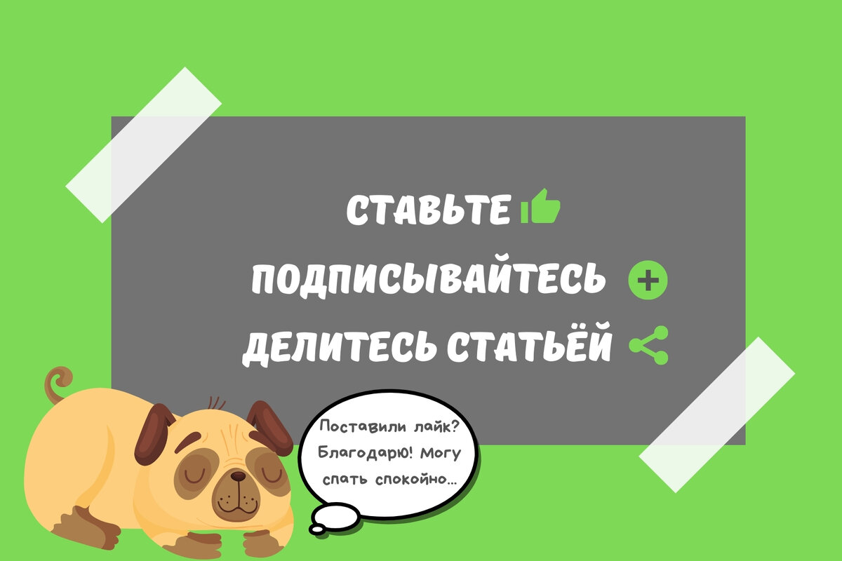 Многие люди хотя бы раз в жизни попадали в непростые и двоякие ситуации из-за незнания своих прав.-2