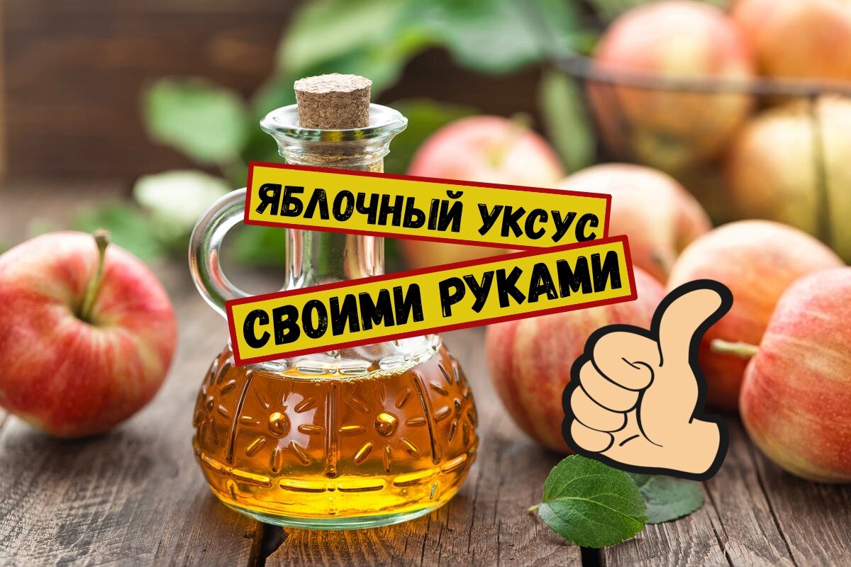 Яблочный уксус своими руками.