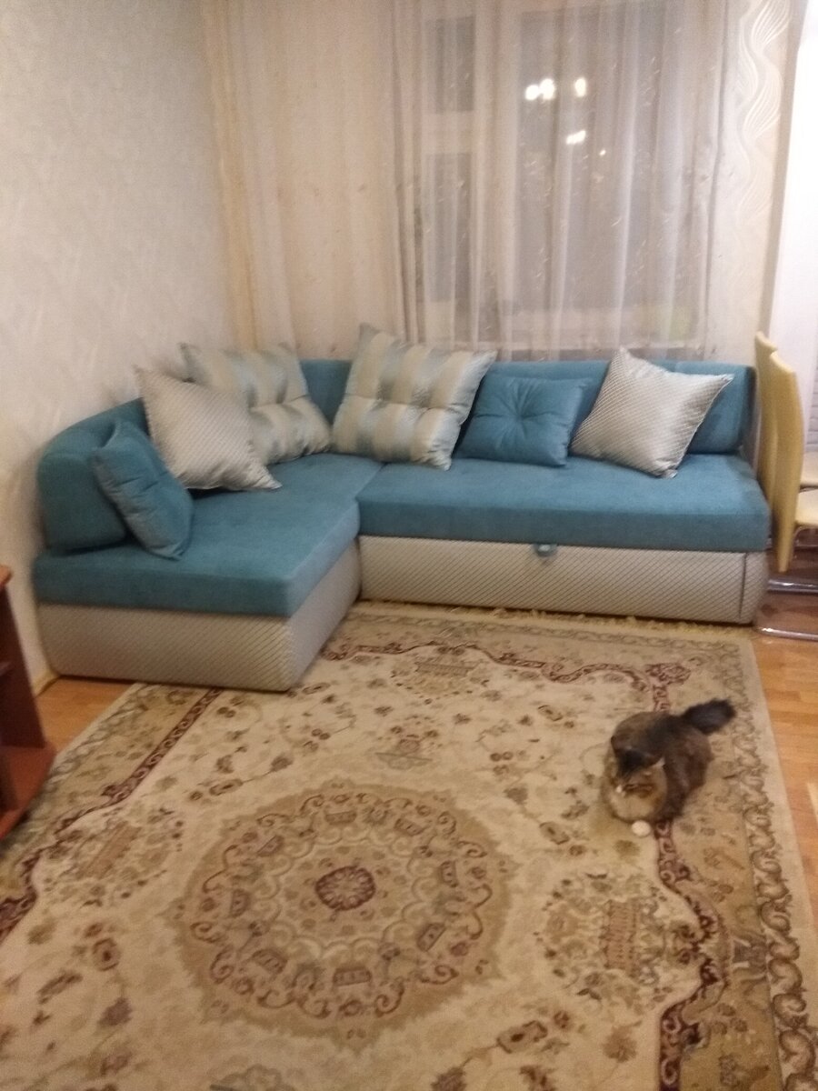 Диван купили во время пандемии, когда поняли, что отпуск нам не светит. Шторки в цвет дивана появились позже.