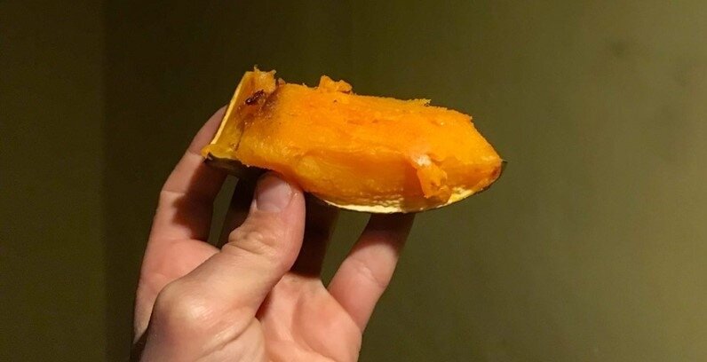 Урожай тыквы в РП Белоусовых