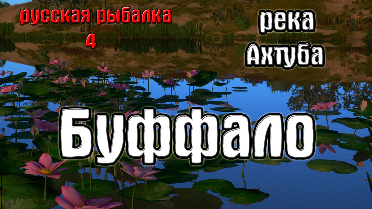 Русская рыбалка 4(рр4/rf4) - река Ахтуба. Буффало большеротый. | taksist -  игровой канал | Дзен