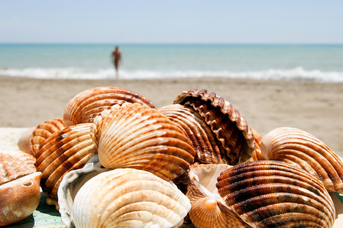 Дерматологи рекомендуют использовать на пляже средства с максимальным SPF, а также с маркировкой UVA.