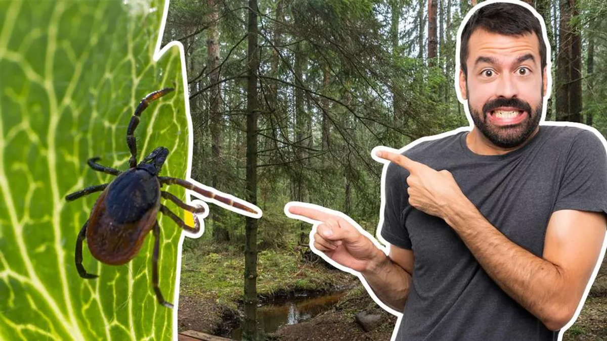 Источник фото: Pixabay