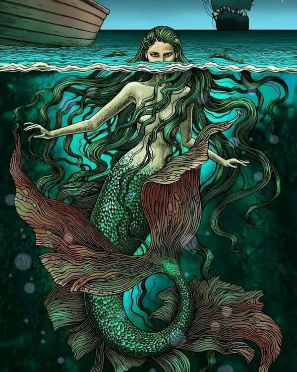 *изображение взято из открытых источников яндекс.картинки